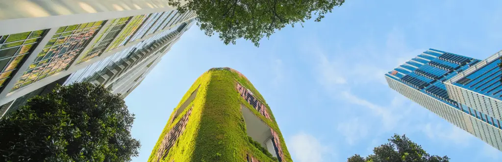 Élimination du carbonne